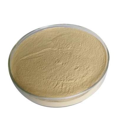 High quality Yeast hydrolysate 50% protein