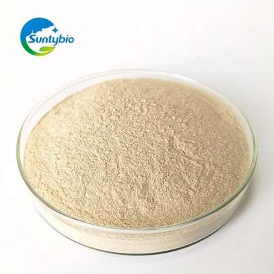 Pet Food Brewers yeast 40% Protein